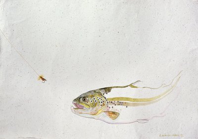 Trout Chasing a Fisherman